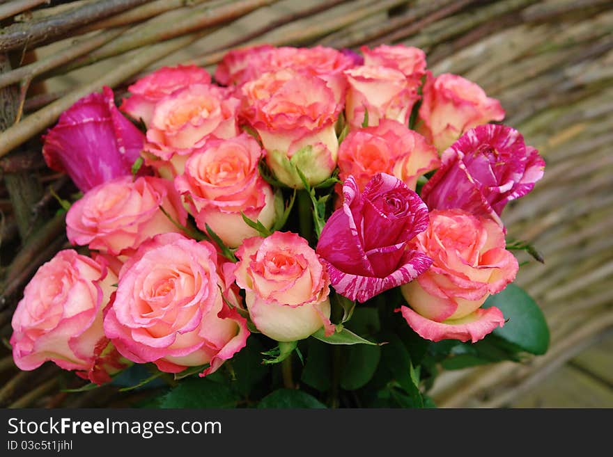 Luxurious bouquet of roses against a background of woven fence. Luxurious bouquet of roses against a background of woven fence