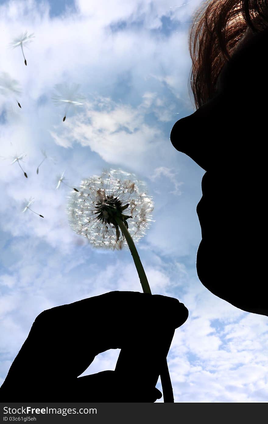 A silhouetted beautiful dandelion being gently blown by a middle aged woman in a garden against a cloudy sky. A silhouetted beautiful dandelion being gently blown by a middle aged woman in a garden against a cloudy sky