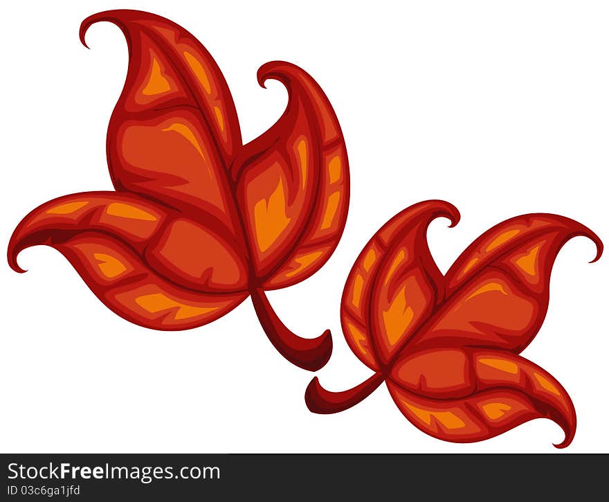 Illustration of isolated colorful leaf on white background