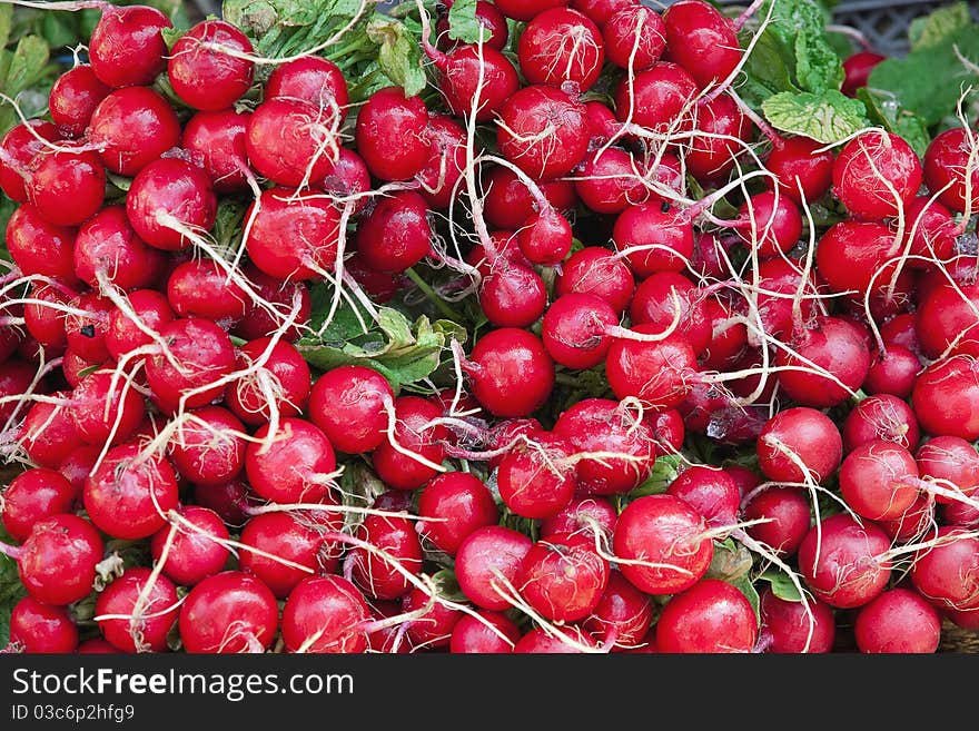 A lot of a wet radish isolated a white background. A lot of a wet radish isolated a white background