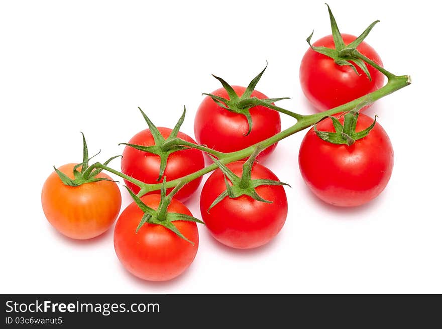 Many red tomatoes over a white background