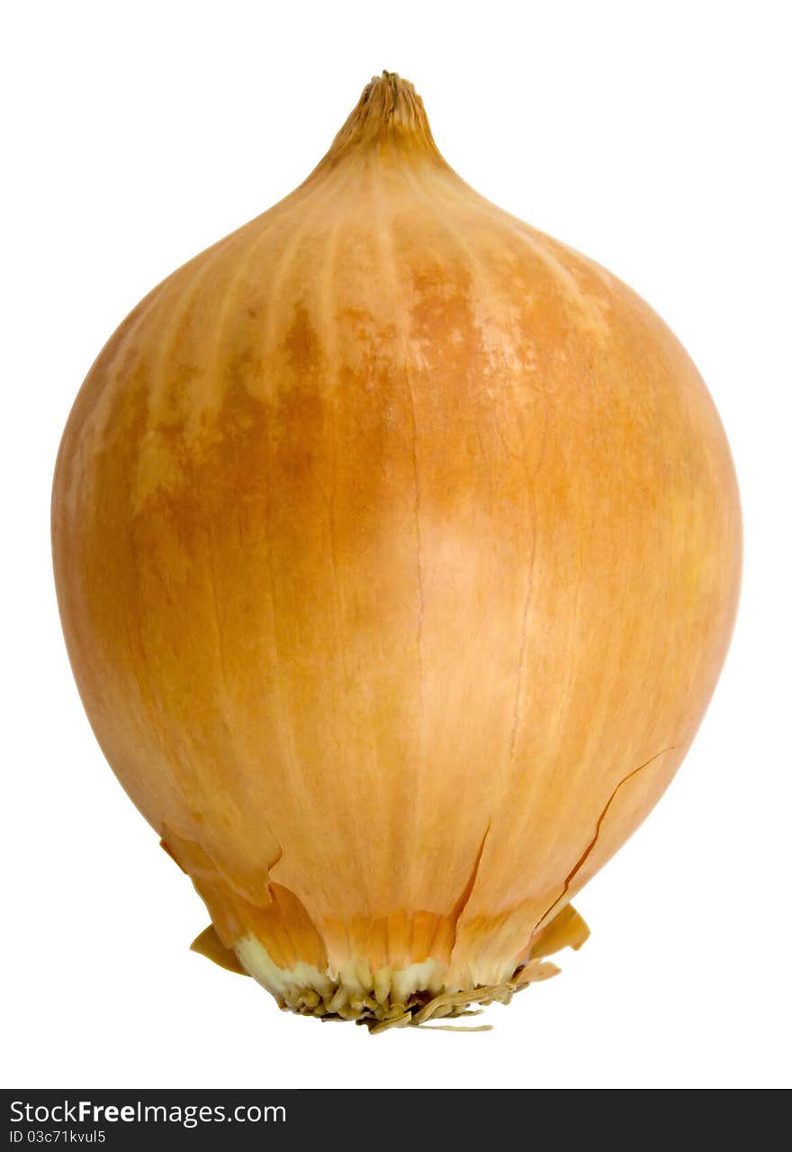 Onion