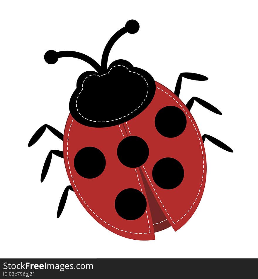 Ladybird On White Background