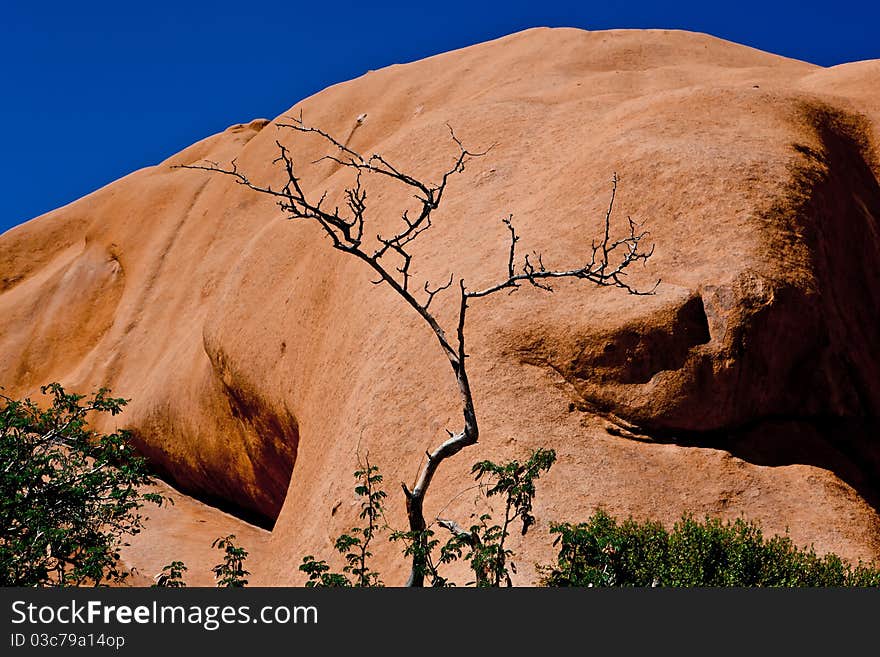 Dead tree near the mountain, Namibia