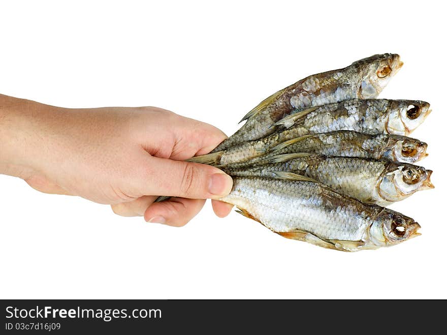 Hand hold few salted dried fishes isolated on the white background