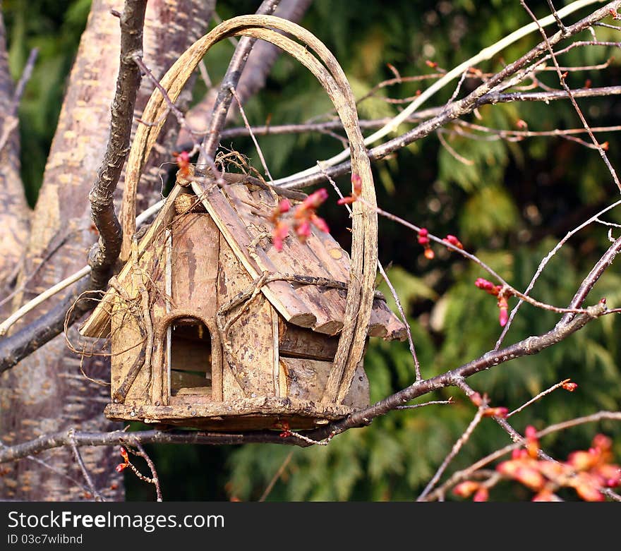 Log cabin-like birdhouse in tree that has Spring buds.