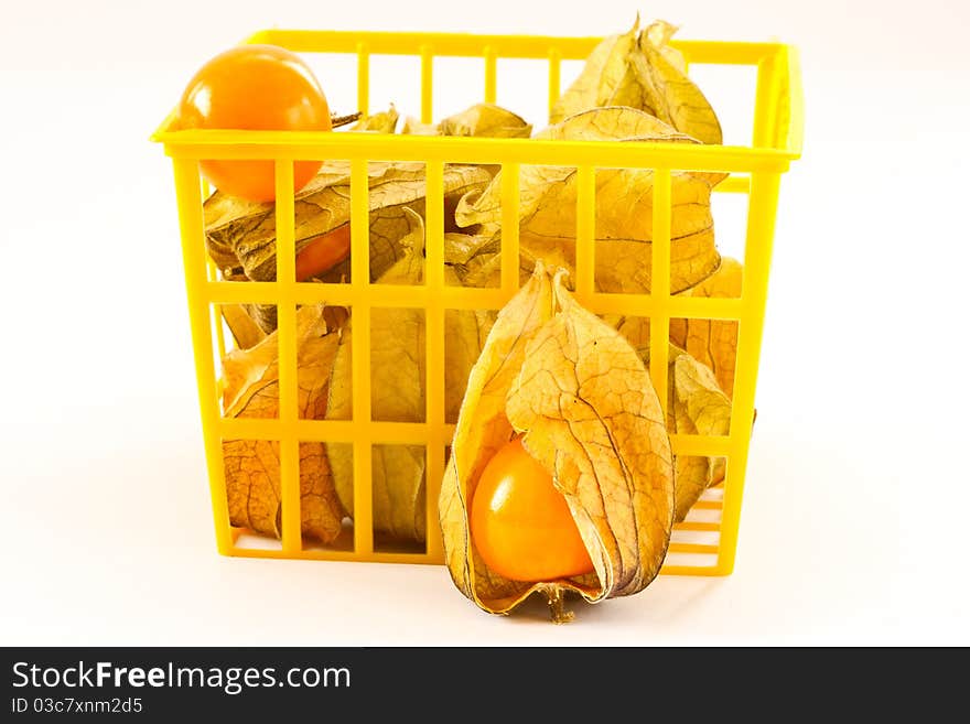 Yellow ripe fruit of Physalis Peruvian on a white background. Yellow ripe fruit of Physalis Peruvian on a white background