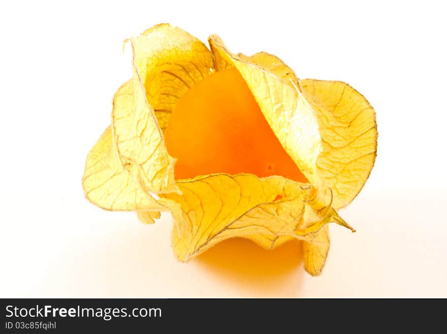 Yellow ripe fruit of Physalis Peruvian on a white background. Yellow ripe fruit of Physalis Peruvian on a white background