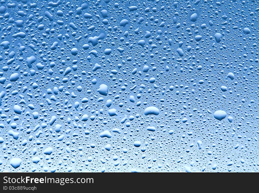 Water Drops in blue gradient