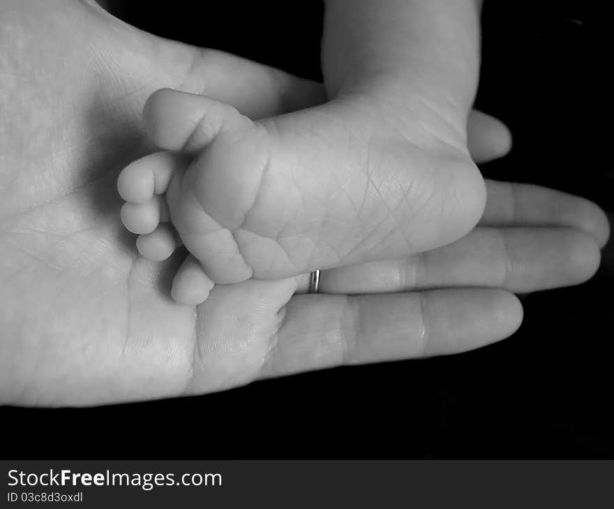 Hand holding a newborn foot. Hand holding a newborn foot