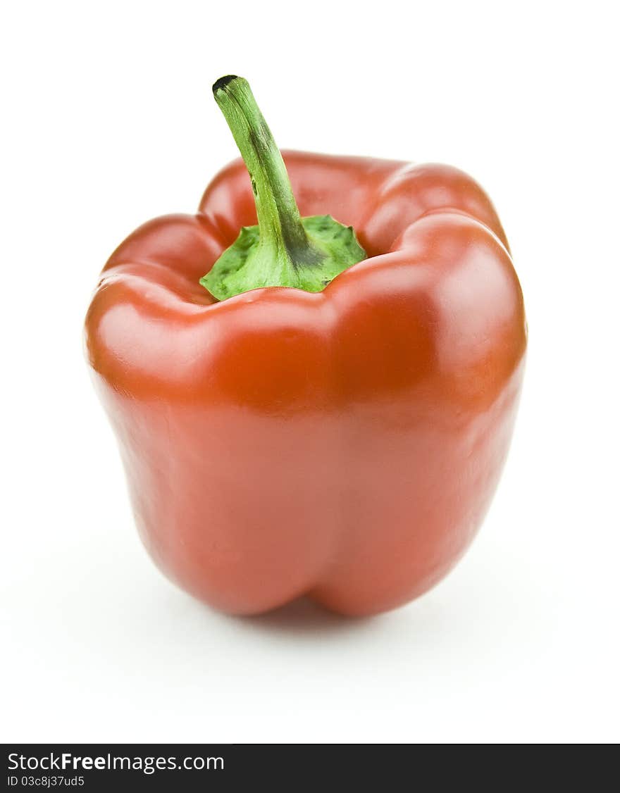 Bulgarian Pepper