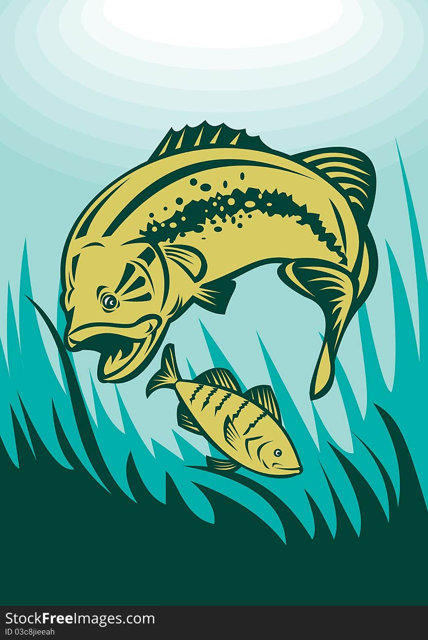 Illustration of a largemouth bass preying on perch fish viewed underwater. Illustration of a largemouth bass preying on perch fish viewed underwater