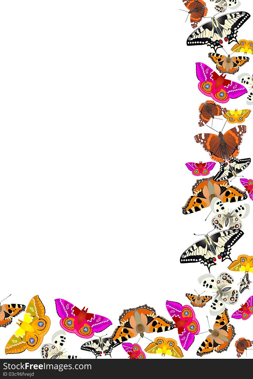 Flying butterflies on a white background