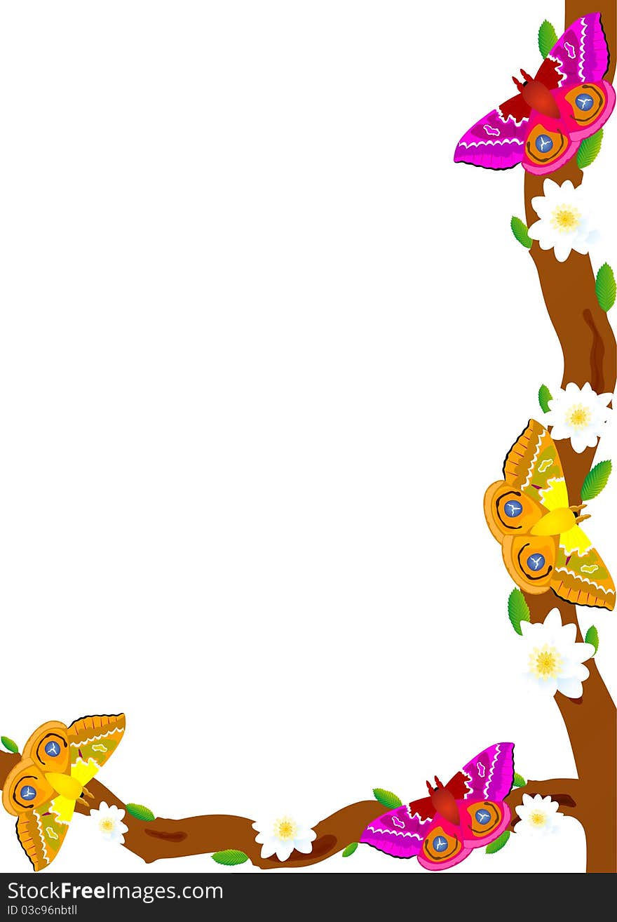 Butterfly on a flowering tree