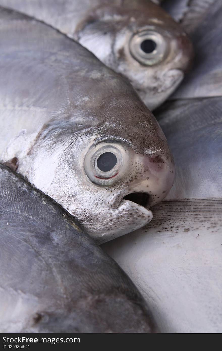 Close up fresh fish eye in town market. Close up fresh fish eye in town market