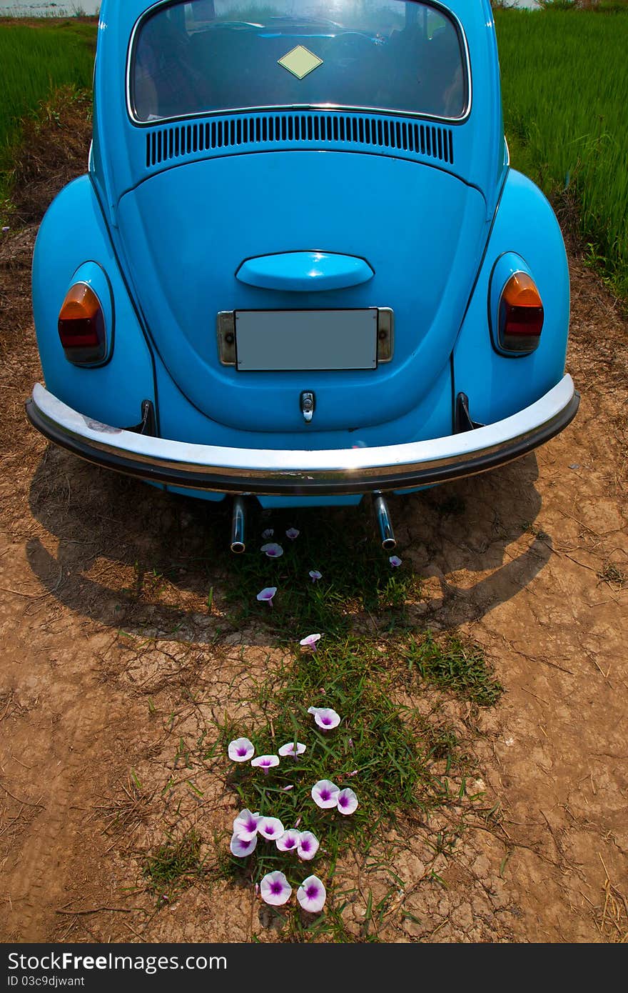 Old car with the flowers