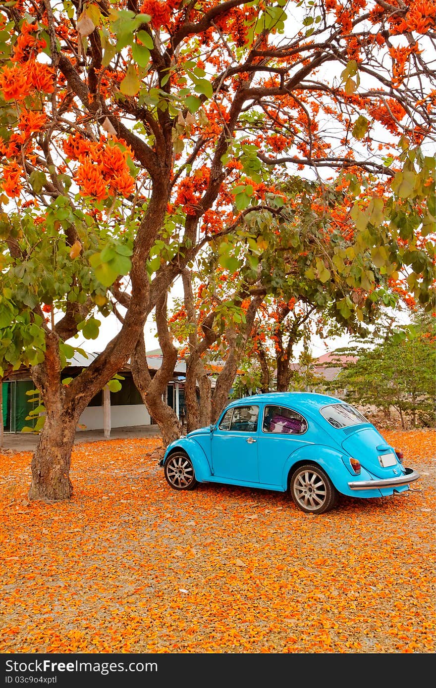 Old car with the flowers