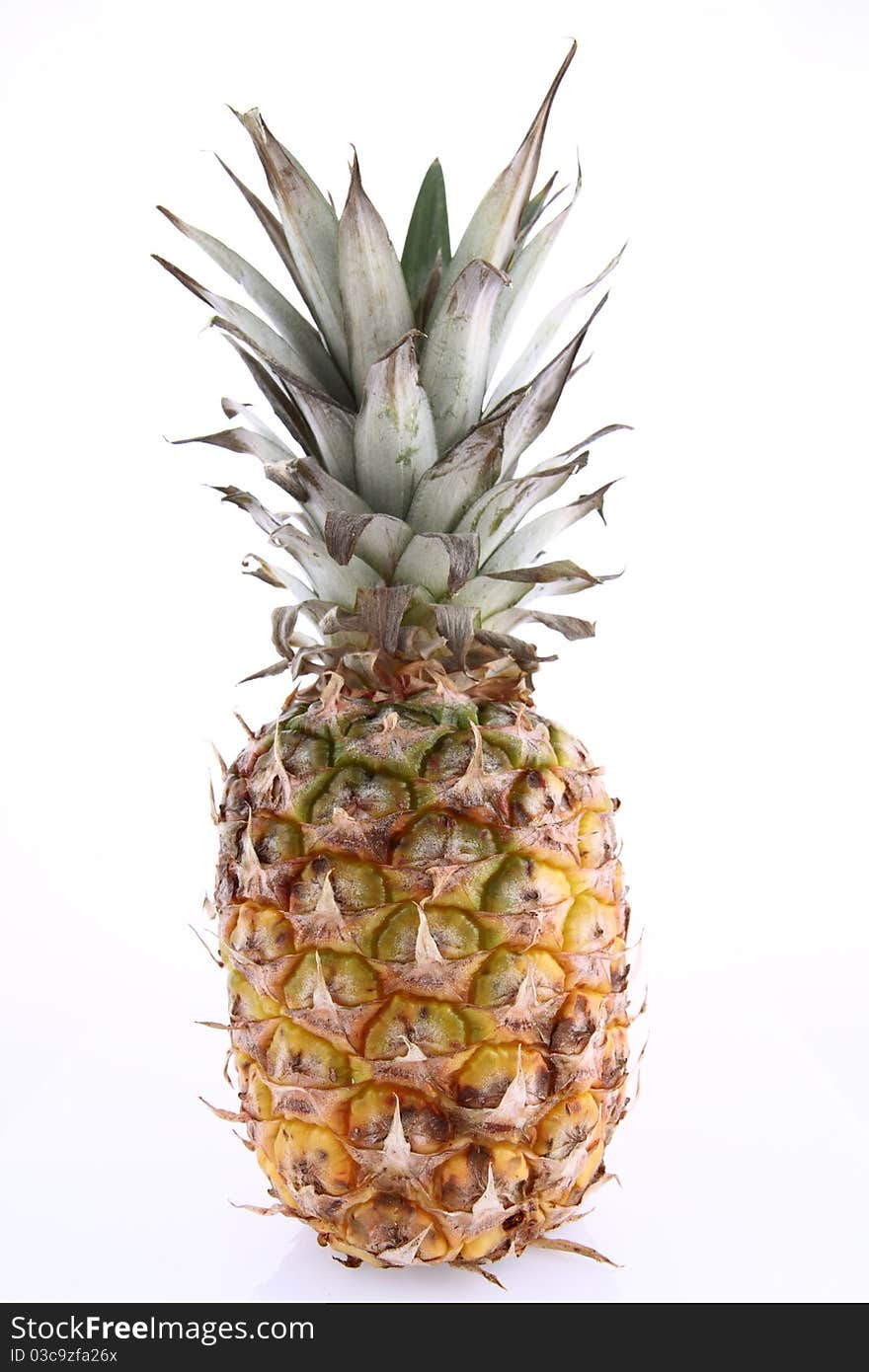 Pineapple fruit on white background