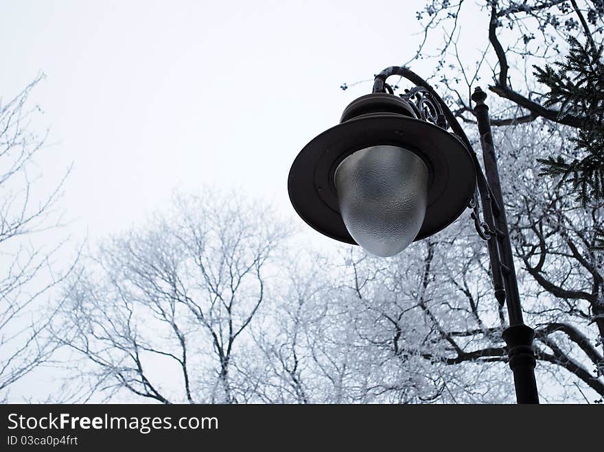 Old stylish street lamp in a park