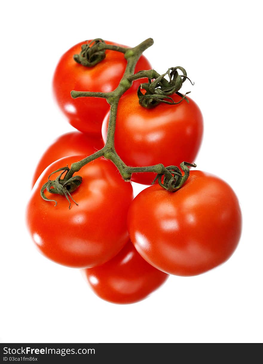 Fresh, red tomatoes on a white background. Fresh, red tomatoes on a white background