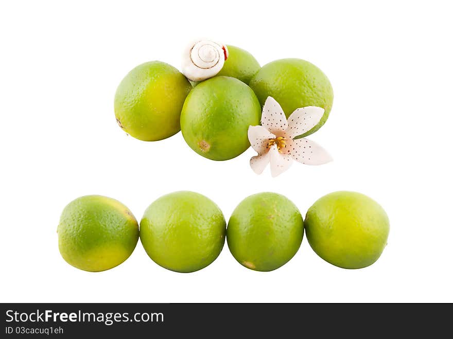 Limes collection isolated on white