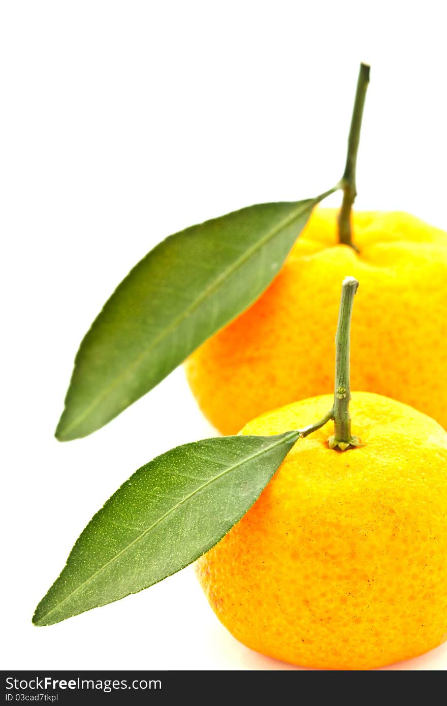 Orange and leaf on white background. Orange and leaf on white background