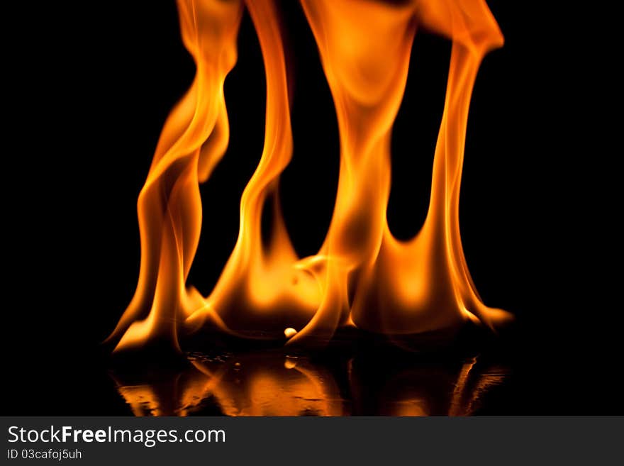 Close-up of fire and flames on a black background