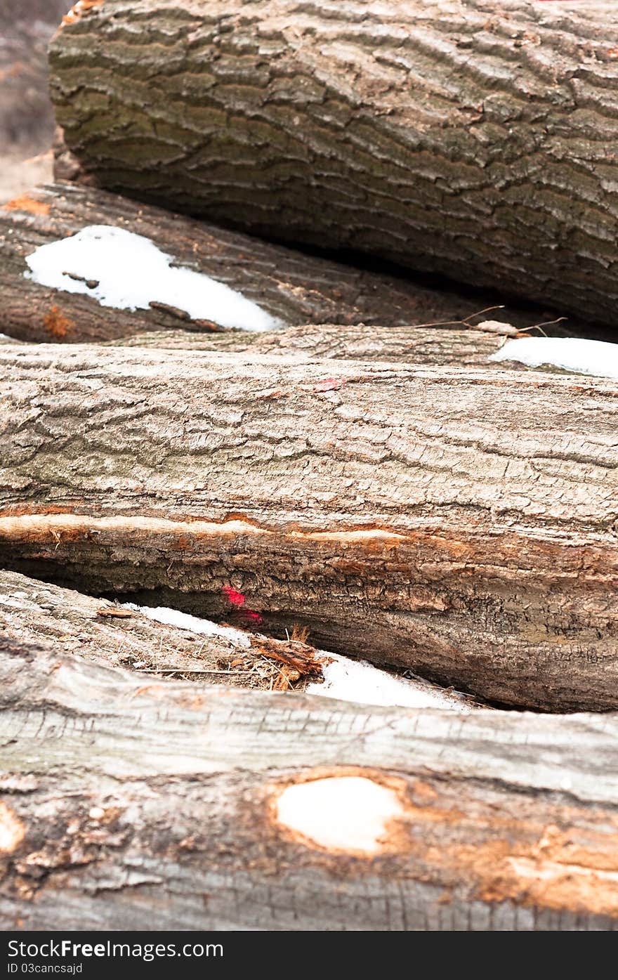 Logs of wood piled up