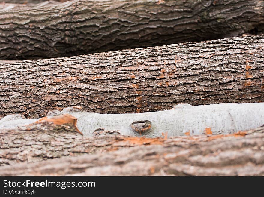 Logs of wood piled up