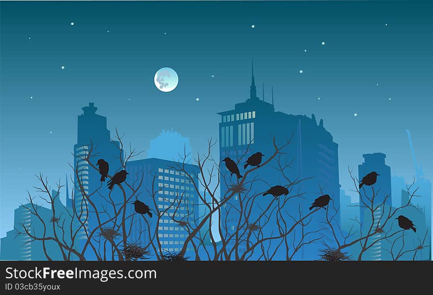 View of the city at night in the spring, the birds sleep in trees near their nests.