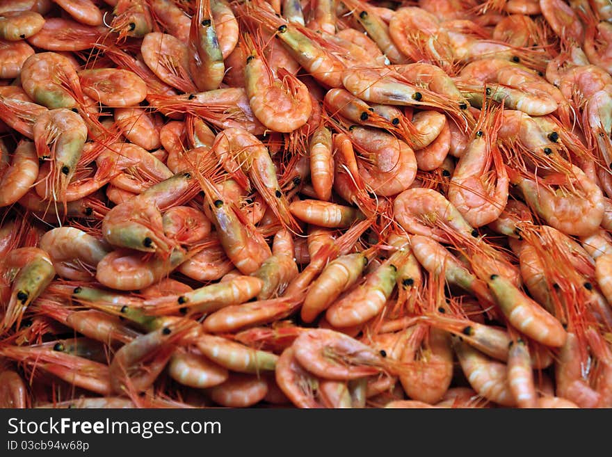 Shrimps in Stockholm fish market