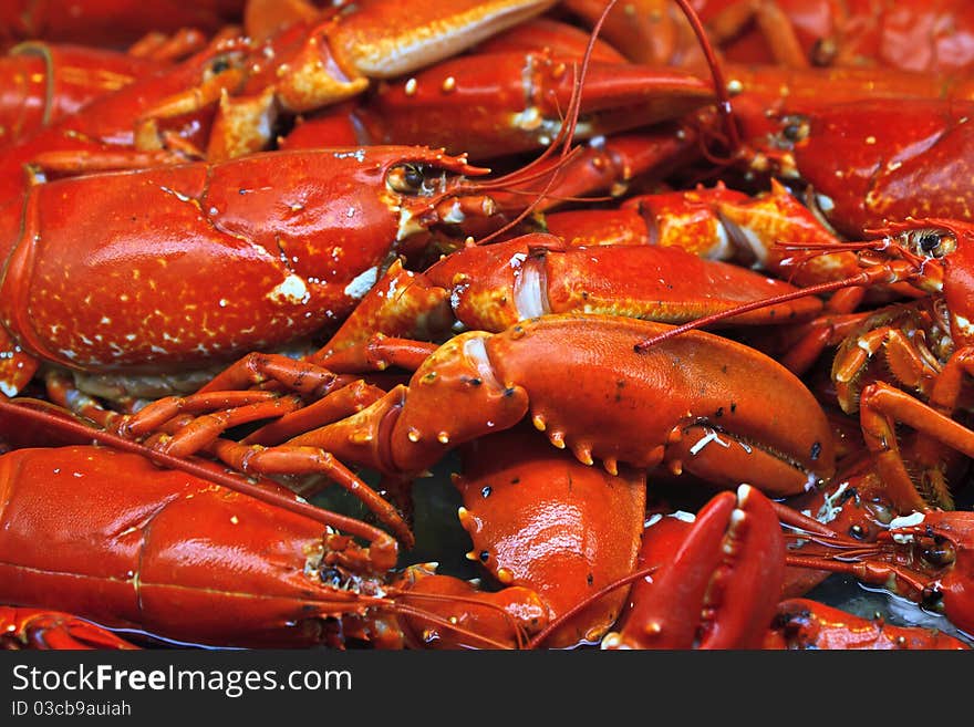 Crayfish in Stockholm fish market