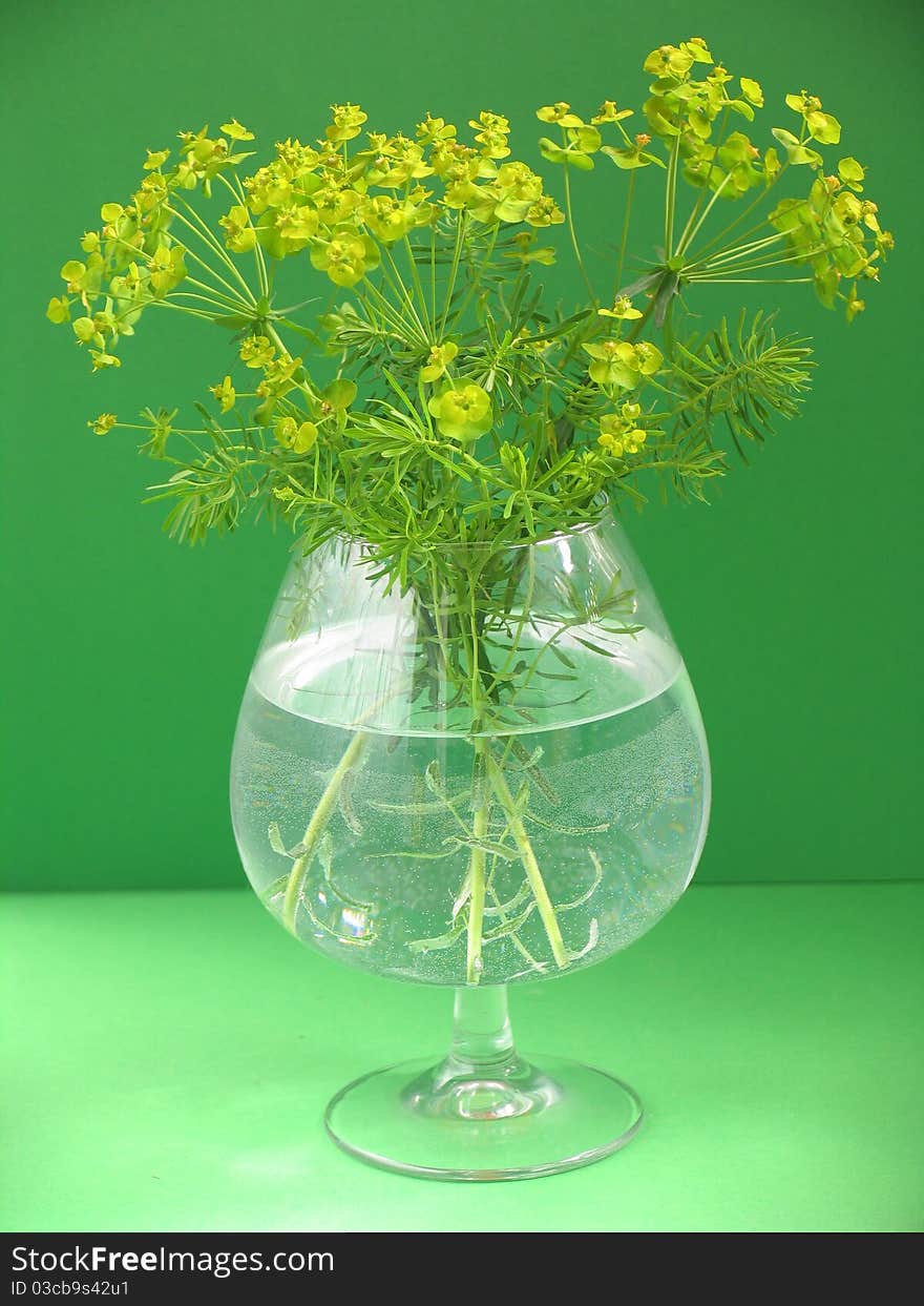 Small bouquet of yellow wild flowers in wine glass on green background. Small bouquet of yellow wild flowers in wine glass on green background