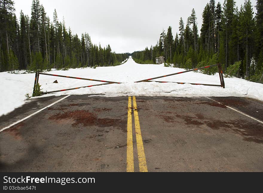 Road closed due to snow