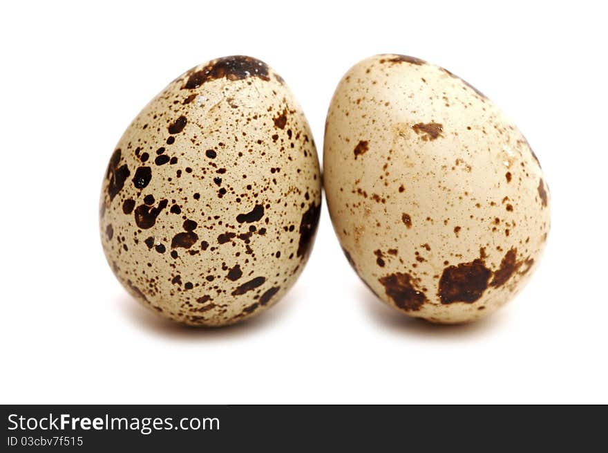 Two quail eggs