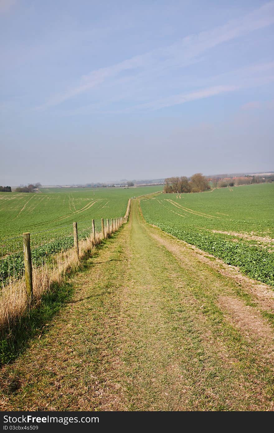 An English Rural Landscape with grassy track through field of Crops