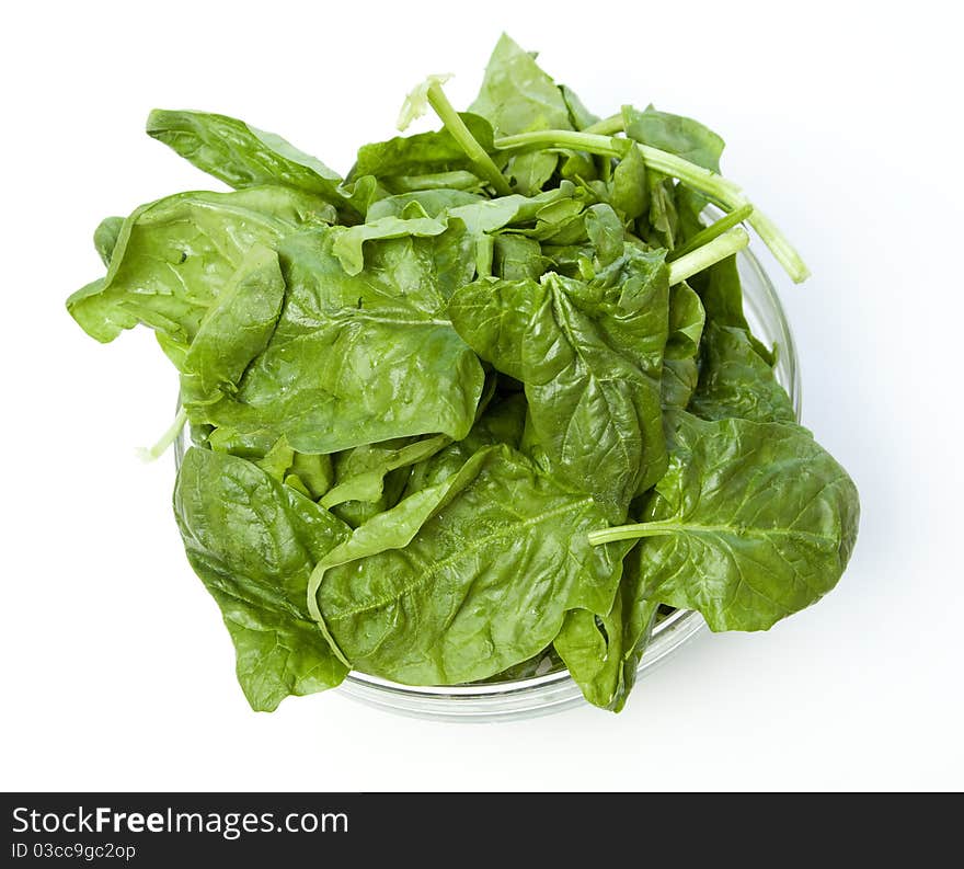 Spinach Isolated On White