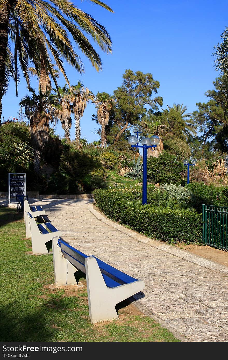 Park in Jaffa with palm trees, Israel