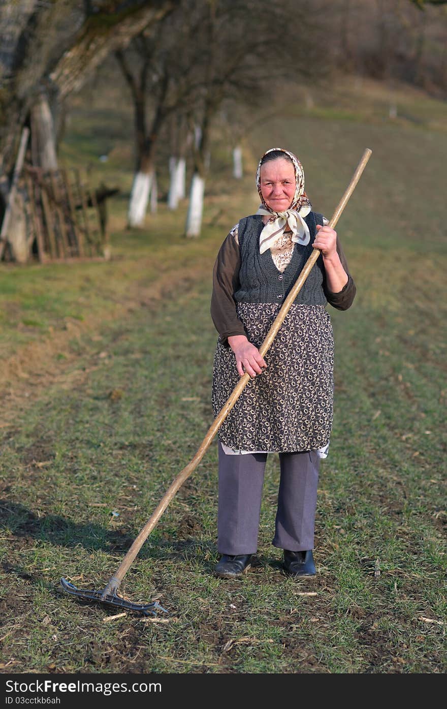 Old country woman working the field with a rake. Old country woman working the field with a rake.