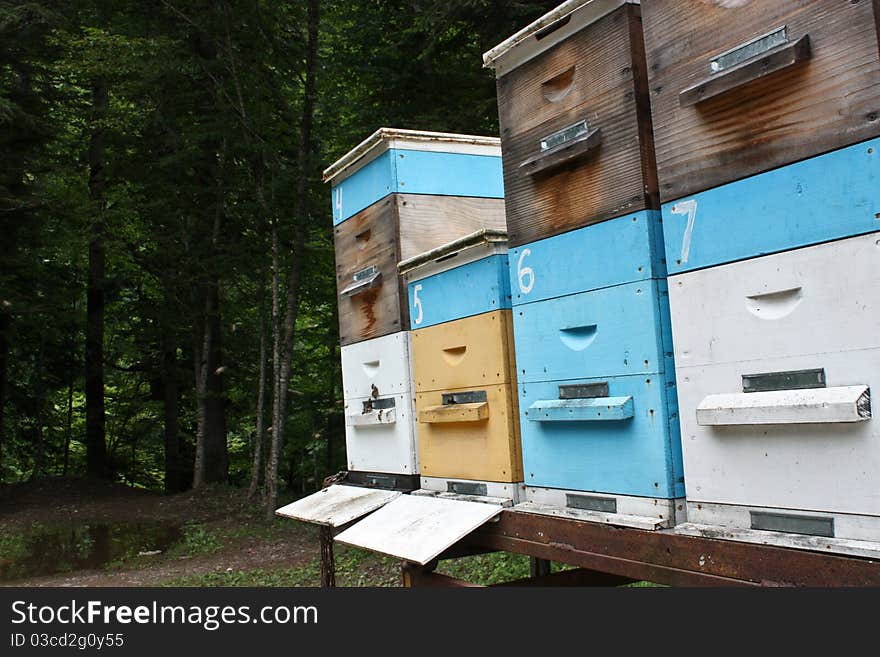 Apiary on wheels