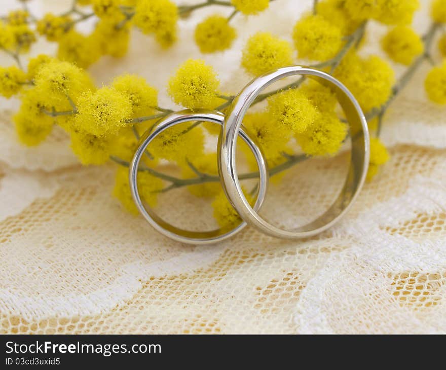 With mimosa flowers on the lace. With mimosa flowers on the lace