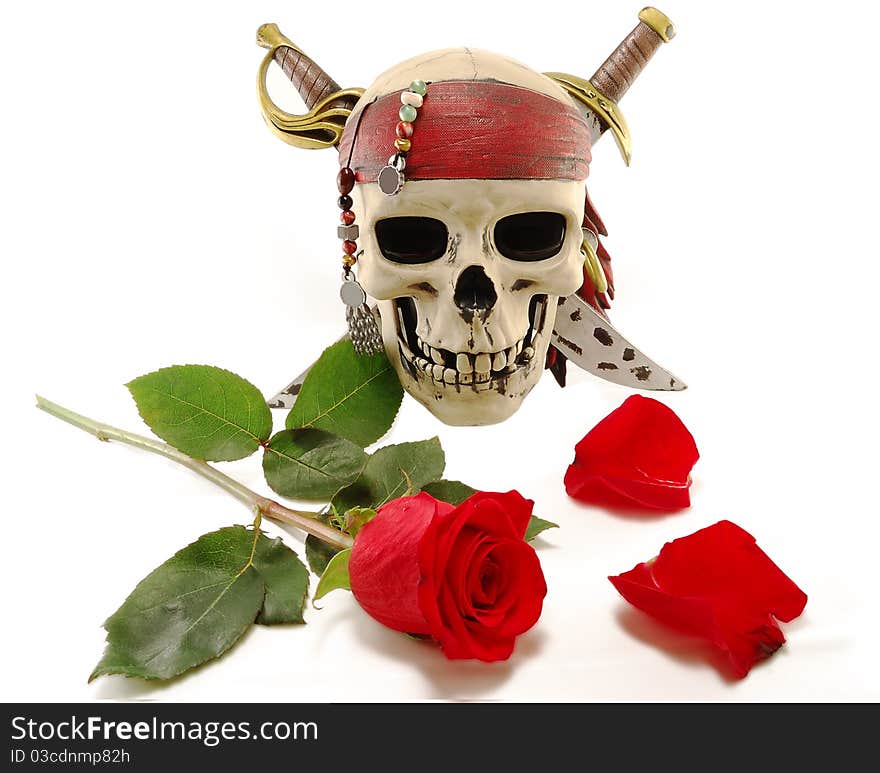 Skull and red rose with petals