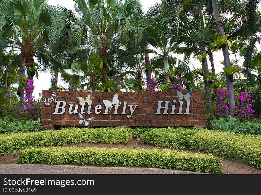 Sign Butterfly Hill on the background of green trees palm and flowers