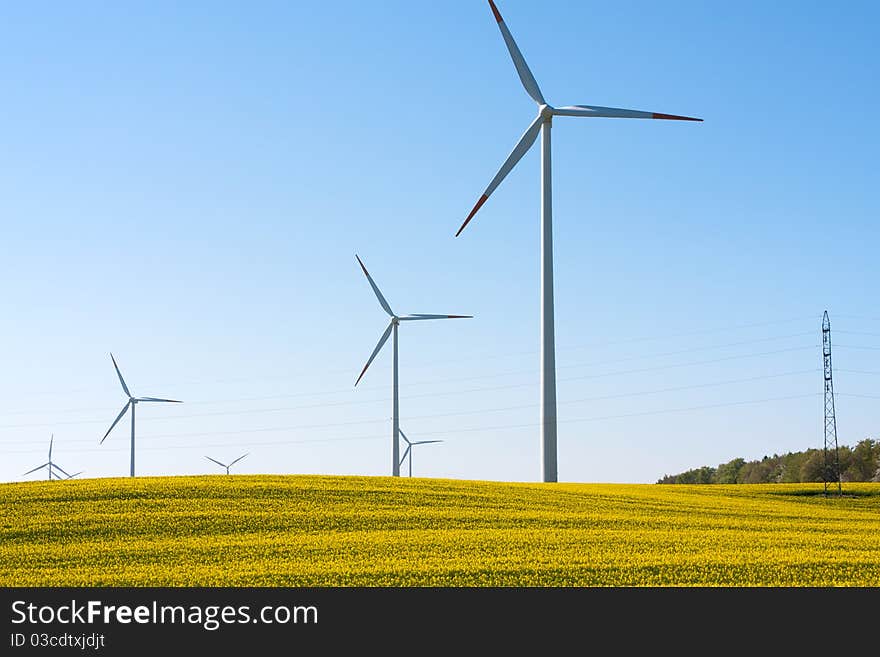 seed field with wind turbines generating electricity. seed field with wind turbines generating electricity