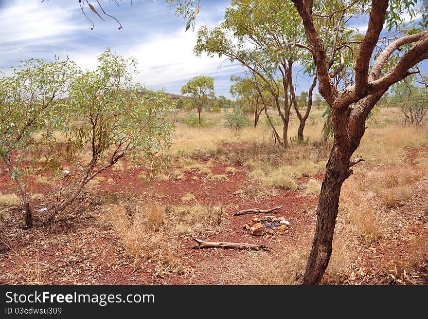 Remains of a camp fire in the bush. Remains of a camp fire in the bush