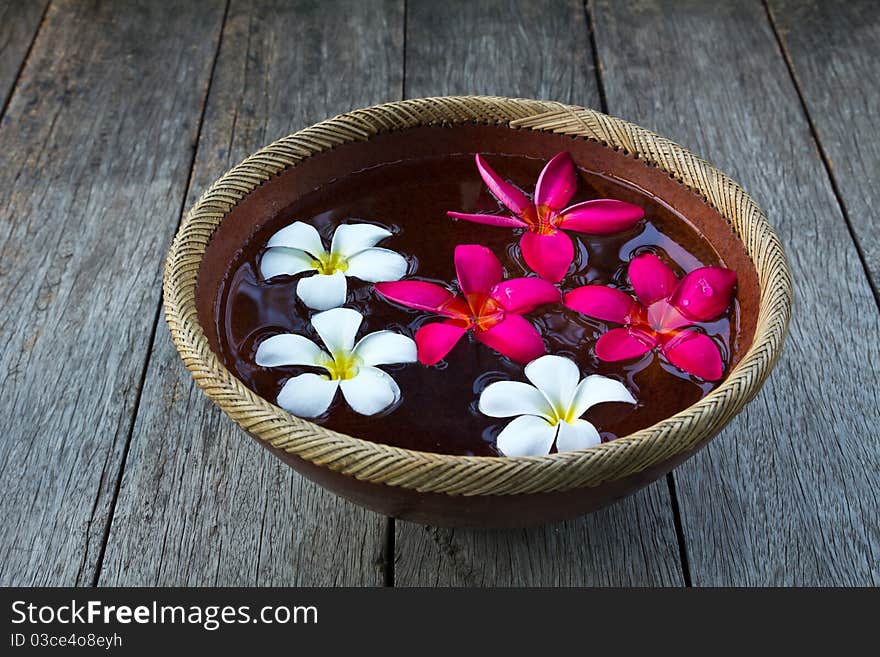 Plumeria flower