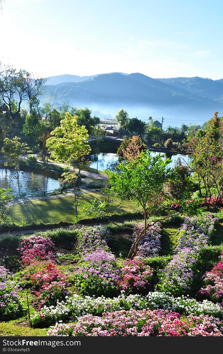 The garden of heven in the north of thailand