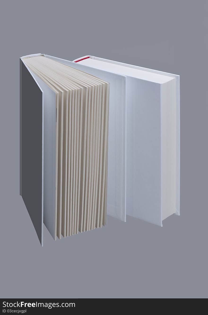 Two White Plain Books For Design Layout