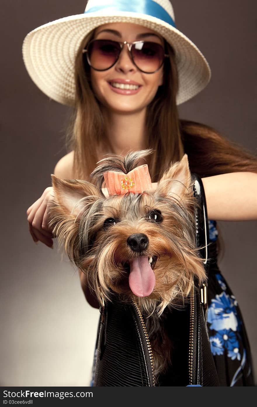 Yorkshire Terrier dog intending to attack, defending his young mistress