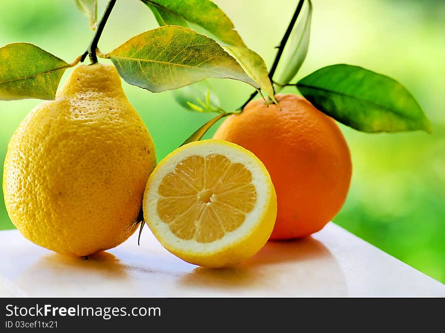 Orange and lemon slice in green background. Orange and lemon slice in green background.